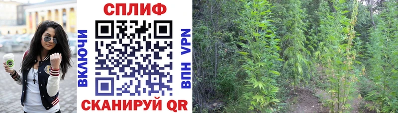 Купить закладку Никольск ГАШИШ  Cocaine  Alpha-PVP  Метадон  МЕФ 