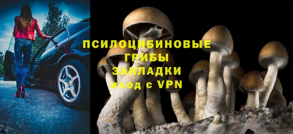 эйфоретик Нея