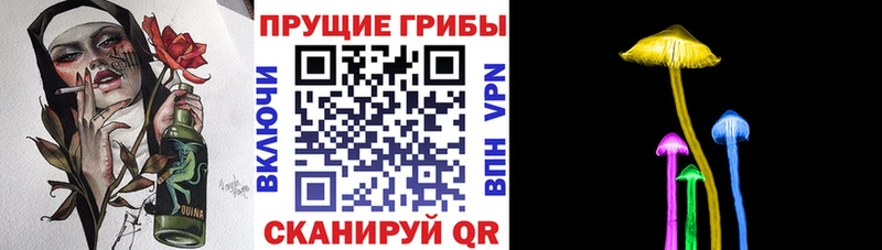 Псилоцибиновые грибы MAGIC MUSHROOMS  цены   Никольск 