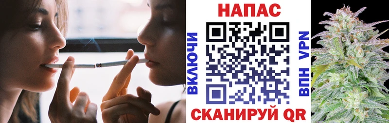 Конопля THC 21%  закладки  Никольск 